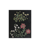 Flower Study IV