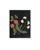 Flower Study V