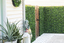 Sample Panel – White Flowering Boxwood Green Wall (Small Sample)