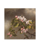Flowers of May