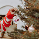I Believe in Santa and Dinosaurs Ornaments, Playful Prehistoric Christmas Fun Decor