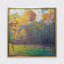 Forest Light into Shade - Limited Edition Canvas Print