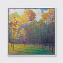 Forest Light into Shade - Limited Edition Canvas Print