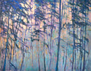 Forest Sequence 1 - Open Edition Canvas Print