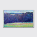 Forest in Shade - Limited Edition Canvas Print
