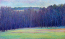 Forest in Shade - Limited Edition Canvas Print