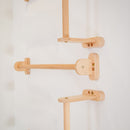 Home Monkey Bars