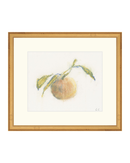 Pastel Orange I