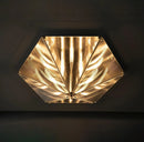 Fragment ceiling Lamp