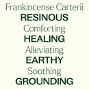 Frankincense Carterii Essential Oil