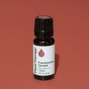 Frankincense Carterii Essential Oil Pre-Diluted Roll-On
