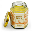 Freeze Squeezed Oranges Scented Candle | Multiple Sizes | Blended Light
