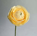 Ranunculus Single Stem | Paper Flower Decor