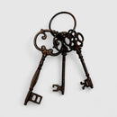 Skeleton Key Set, Vintage Cast Iron Wall or Shelf Display