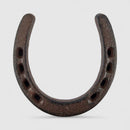 Horseshoe Wall Plaque, Cast Iron Western Good Luck Wall Decor