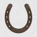 Small Horseshoe, Cast Iron Western Good Luck Wall Decor