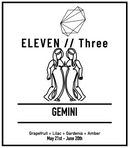 GEMINI