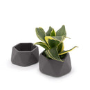 Concrete Mini Genna Tabletop Planters (Set of 2)