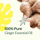 Ginger Essential Oil