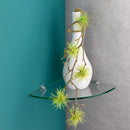 GLASSLINE Corner Shelf and CLIP Support