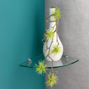 GLASSLINE Corner Shelf and CLIP Support