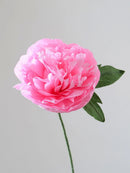 Garden Peony Single Stem | Handcrafted Paper Flower