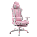 Footrest Series  GT099F