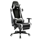 Footrest Series  GT099F