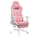 Footrest Series  GT505F