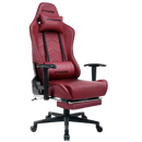 Footrest Series GT901