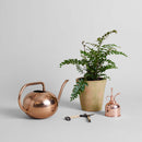 Beatrix Watering Can