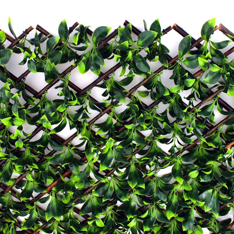 Gardenia Leaf Greenery Trellis