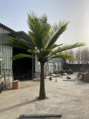 Royal Palm Artificial Tree 13ft–23ft – UV Resistant (10–12 Week Lead Time)
