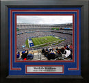 New York Giants MetLife Stadium Aerial View 8" x 10" Framed Football Photo