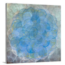 Ginkgophyta - Limited Edition Canvas Print
