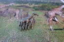 Giraffes Lapel Pin
