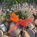 Medium Garden Dragonfly | Multiple Colors | Glowing Creation