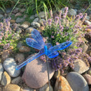 Medium Garden Dragonfly | Multiple Colors | Glowing Creation