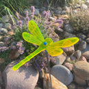 Medium Garden Dragonfly | Multiple Colors | Glowing Creation