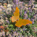 Small Butterfly Yard Decor | Multiple Colors | Glowing Creation