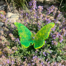 Small Butterfly Yard Decor | Multiple Colors | Glowing Creation
