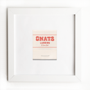 Gnats Landing