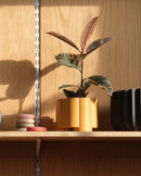 Pillar Planter