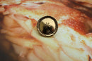 Apple Pie Gold Lapel Pin
