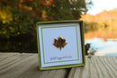 Maple Leaf Gold Lapel Pin