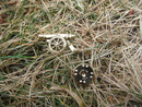 Cannon Gold Lapel Pin