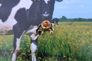 Cow Gold Lapel Pin