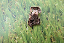 Dog and Cat Gold Lapel Pin