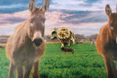 Donkey Gold Lapel Pin