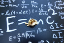 E=MC2 Gold Lapel Pin